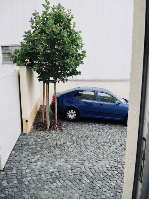 Modernes Apartment - Neustadt/Weinstrasse Stadt Neustadt an der Weinstraße Zewnętrze zdjęcie