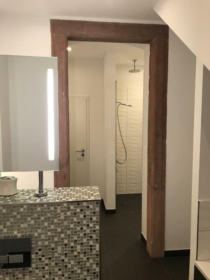 Modernes Apartment - Neustadt/Weinstrasse Stadt Neustadt an der Weinstraße Zewnętrze zdjęcie